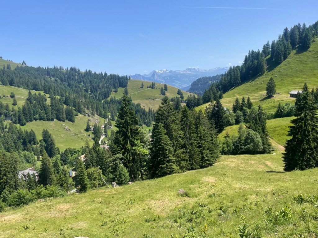 Treinreizen Europa,verre (trein)rondreizen